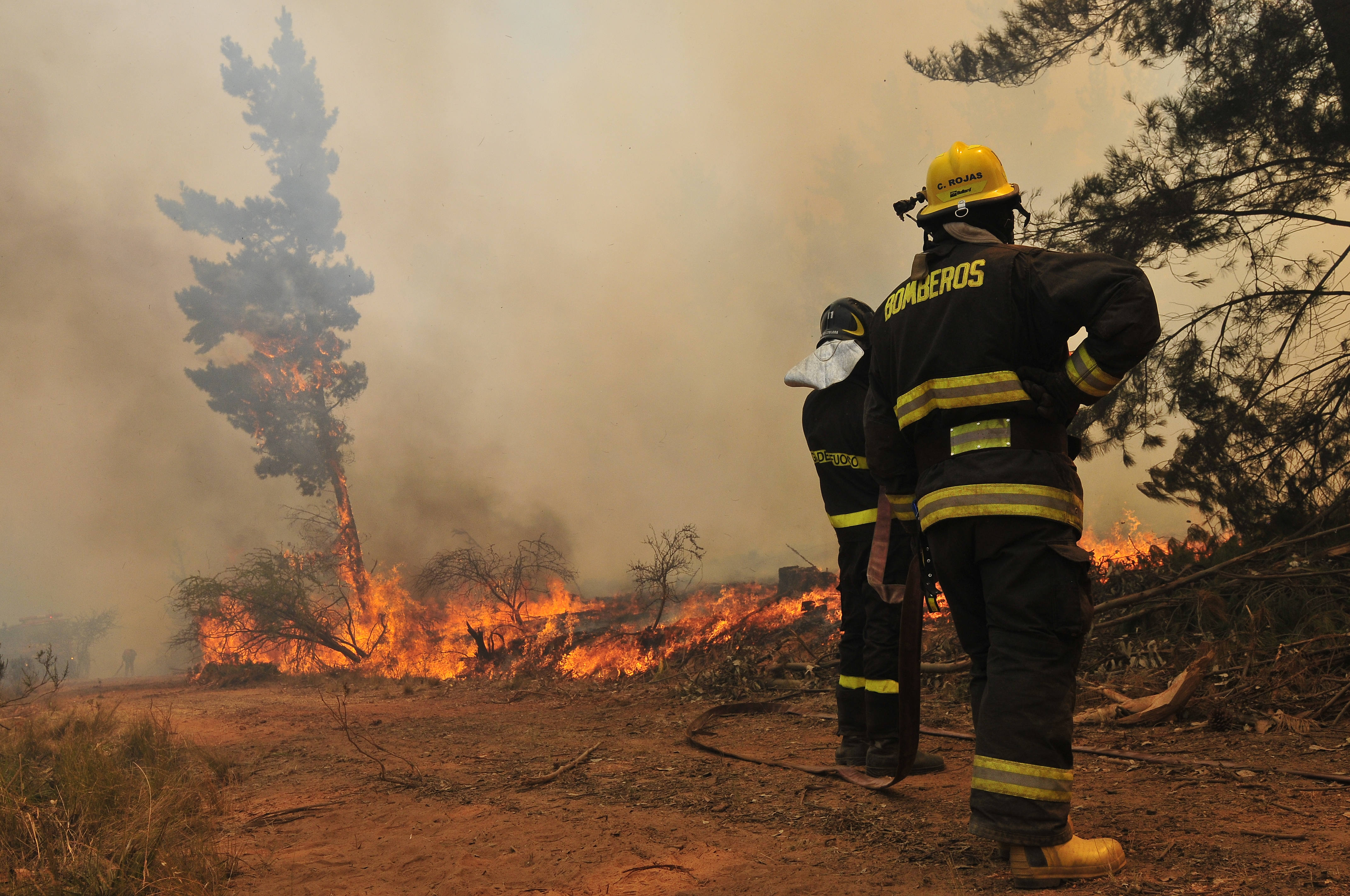 Incendio Forestal Lago Peñuela en Valparaiso