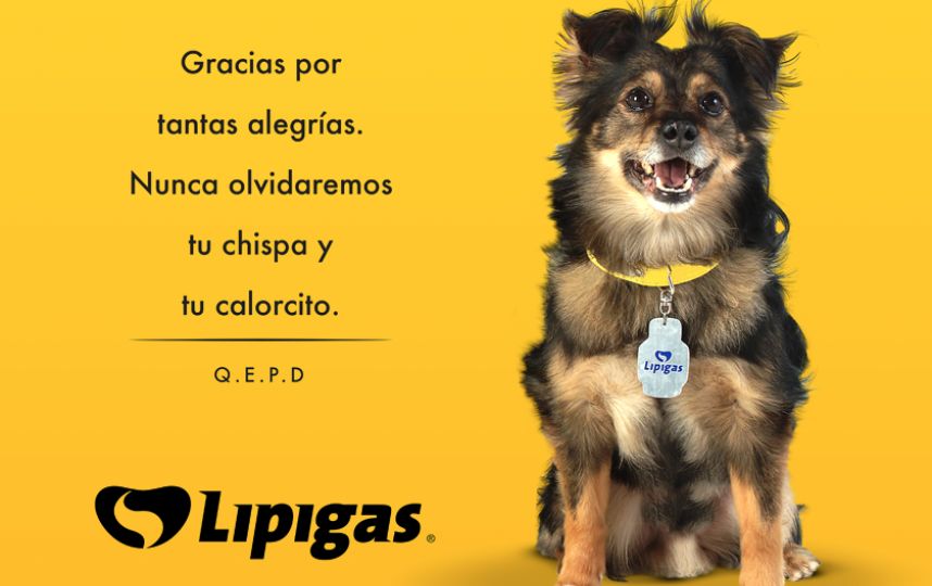 lipigas