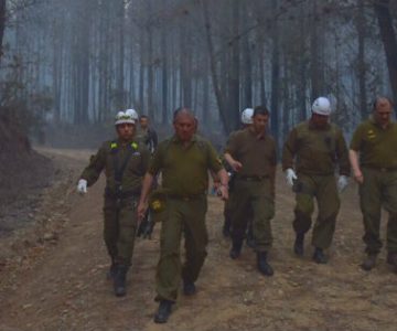 Dos carabineros murieron tras perderse en el Río Maule