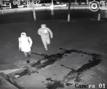 Vídeo: Ladrón noquea sin querer a su compañero con un ladrillo