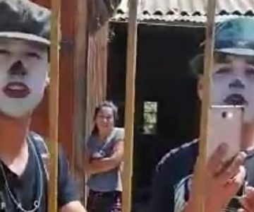 “Agradezca que se la cuidamos señora”: Mimos patudos se tomaron casa de verano en La Serena
