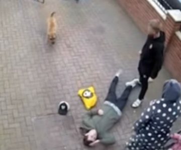 «¡No le hables así a mi mamá!»: el brutal golpe de un joven a tipo que acosó a su madre