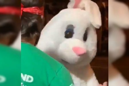 Conejo de Pascua