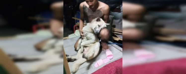 Cachupín se hace el muerto para que no lo bañen