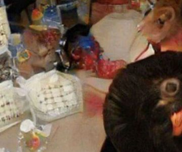 ¿Eres capaz de nombrar algún objeto?: La imagen en la que no puedes distinguir nada de lo que hay en ella