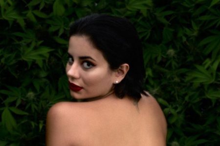 Universidad del Porno