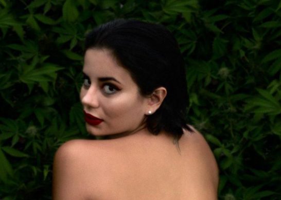 Universidad del Porno