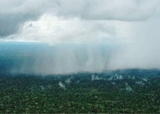 Amazonas