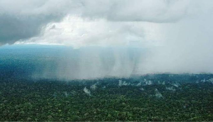 Amazonas