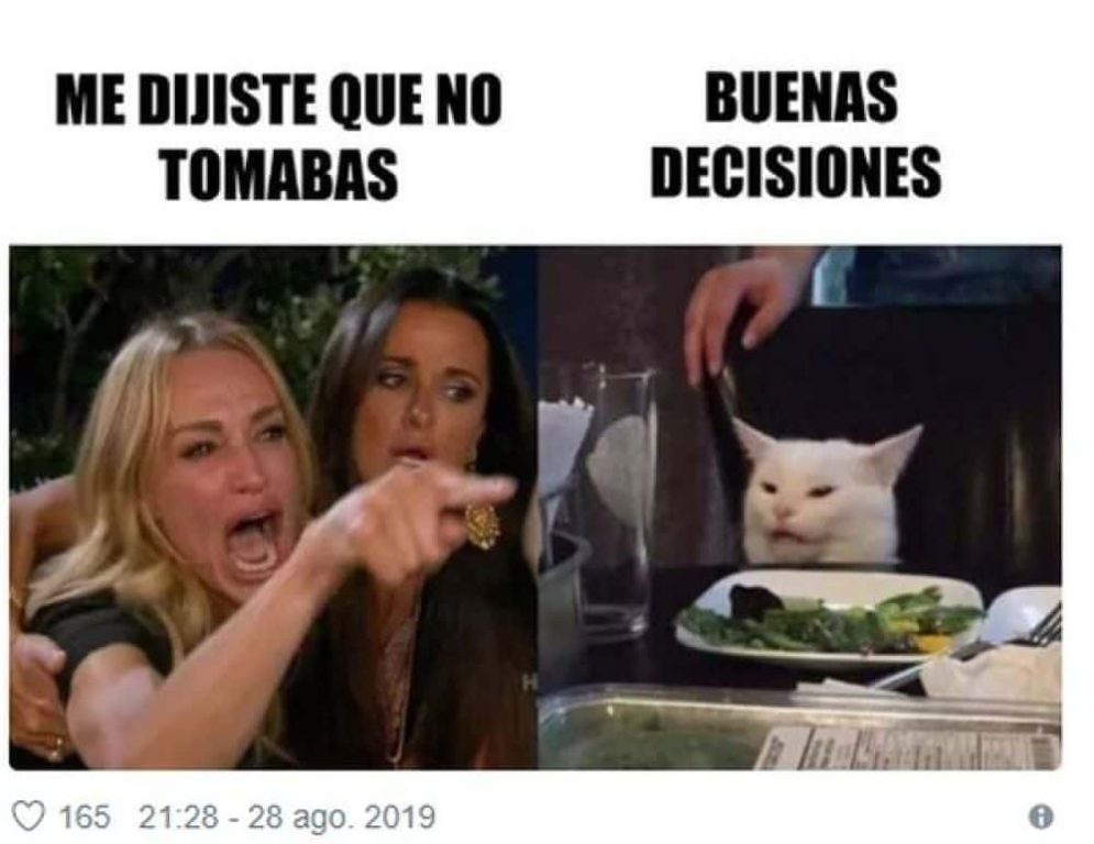 meme gato