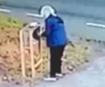 Mujer olvida el freno de mano y se «autoatropella»