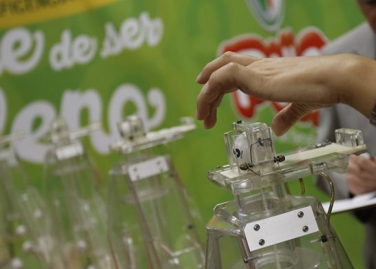 La Suerte de ser Chileno