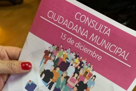 Consulta Ciudadana