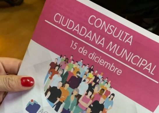 Consulta Ciudadana