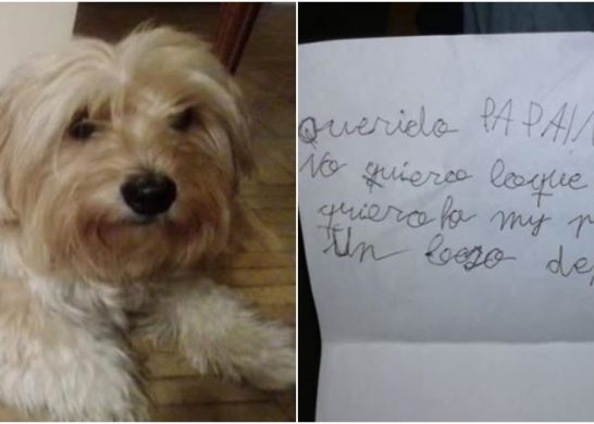 Navidad Viejito Pascuero Perrita