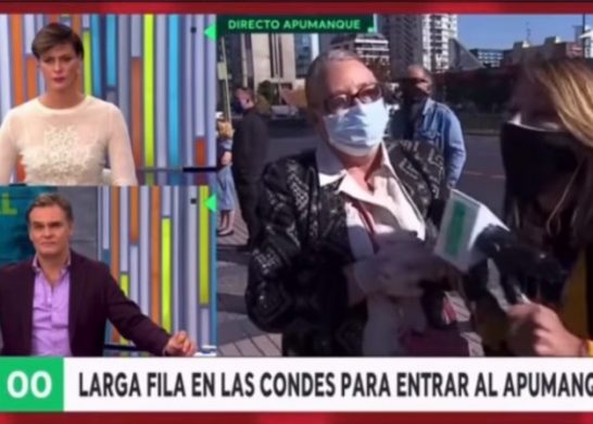 Bienvenidos