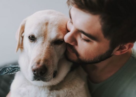 Perro