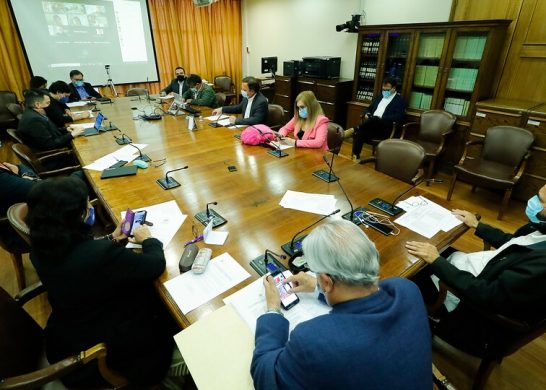 AFP Pensión alimenticia