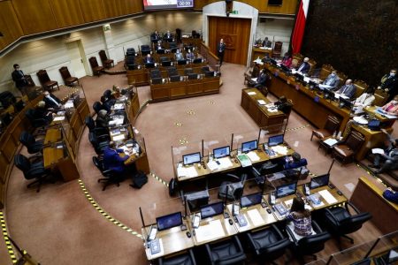 Elecciones Embarazadas