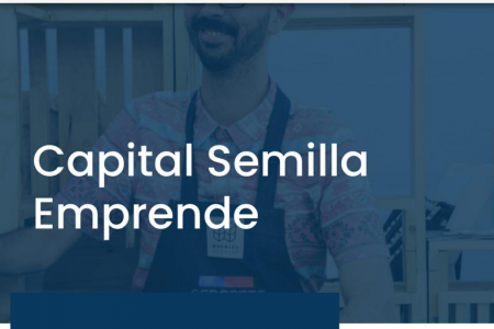 Capital Semilla (fuente_ Capura De Pantalla)