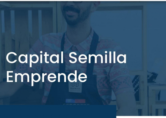 Capital Semilla (fuente_ Capura De Pantalla)
