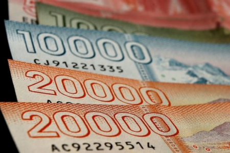 Bono Base Familiar. (fuente: encanchal.cl)