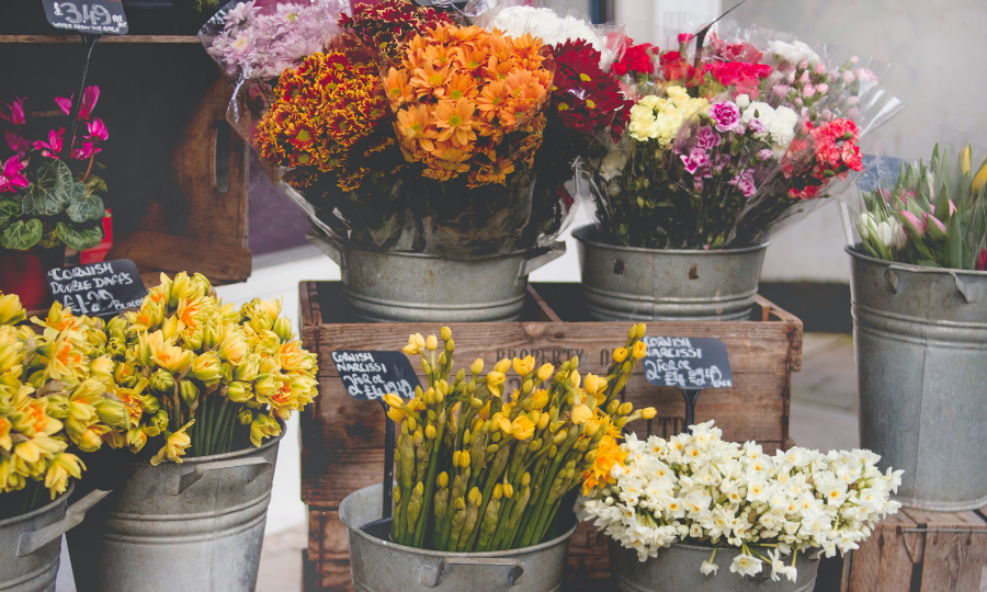 Flores. (Fuente: Pexels)