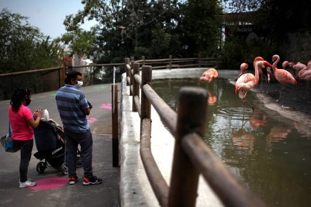 Buin Zoo Y Zoológico Metropolitano