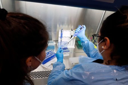 Variante Delta Chile