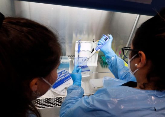 Variante Delta Chile