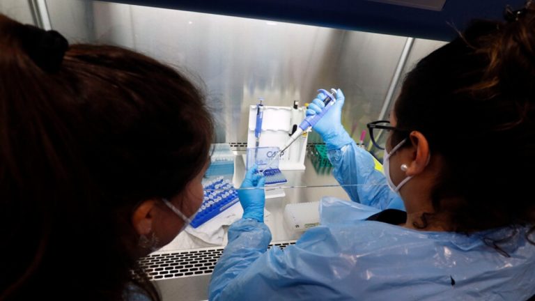 Variante Delta Chile