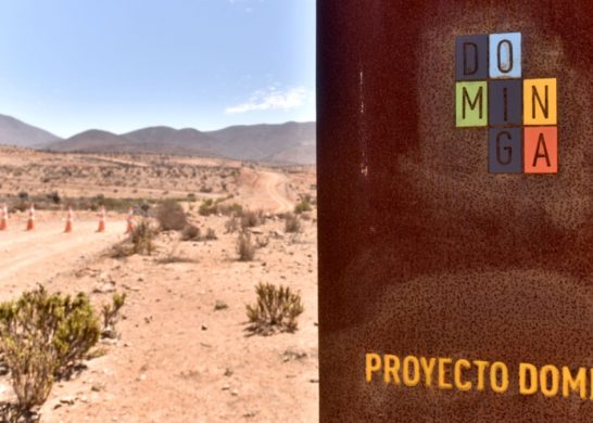 Proyecto Dominga