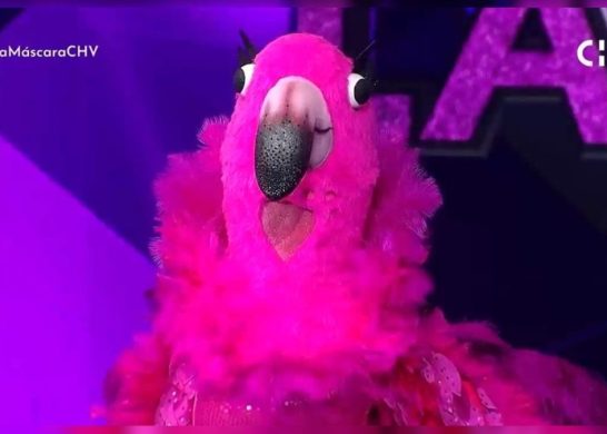 Quien Es La Máscara Raquel