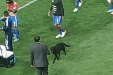 Perrito animó a La Roja