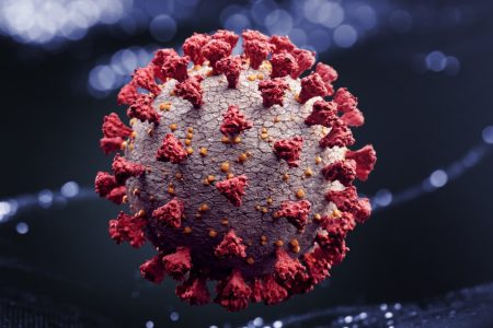 Coronavirus