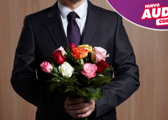 PLANTILLA AUDIOS (15)