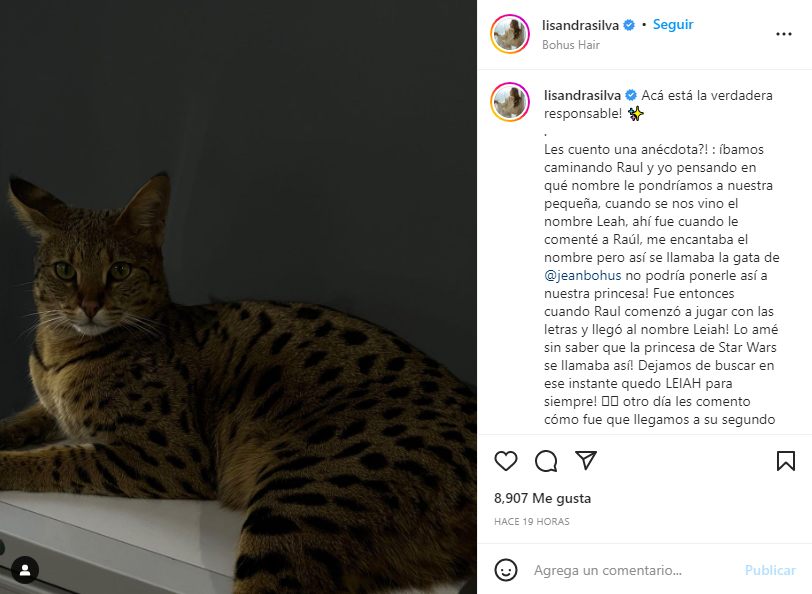 Instagram Lisandra Silva (1)