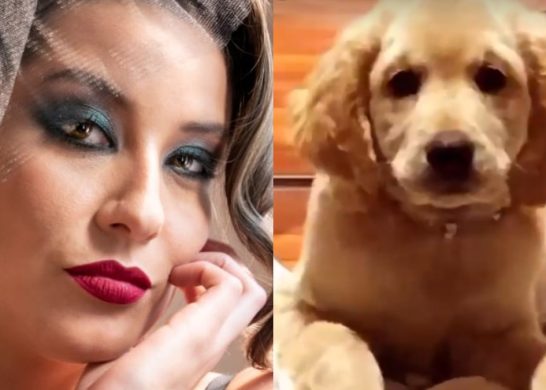 María José Quintanilla Perrito