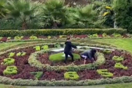 Blanca Nieves Reloj De Flores