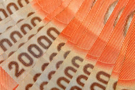 Bono Invierno Congreso