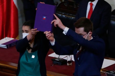 Nueva Constitución Descarga (1)