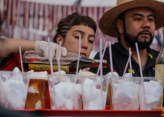 Fondas Parque Ohiggins