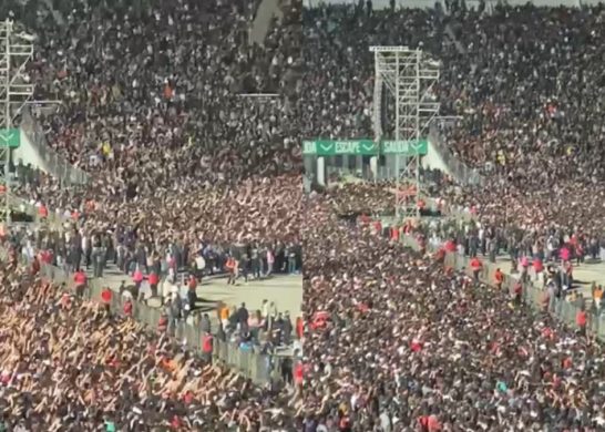 Daddy Yankee Delegada