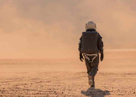 Viajero En El Tiempo