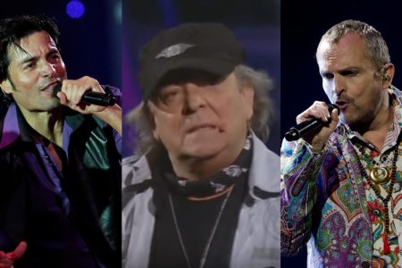 Festival De Viña Artistas