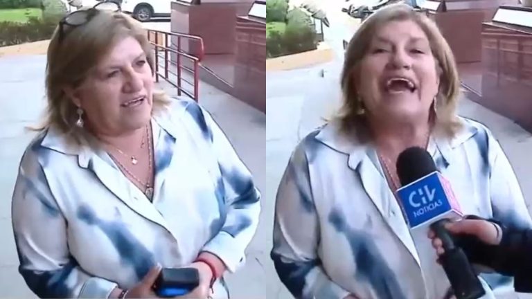 Diputada Naveillán Temblor