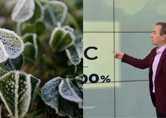 Ola Polar Alejandro Sepúlveda