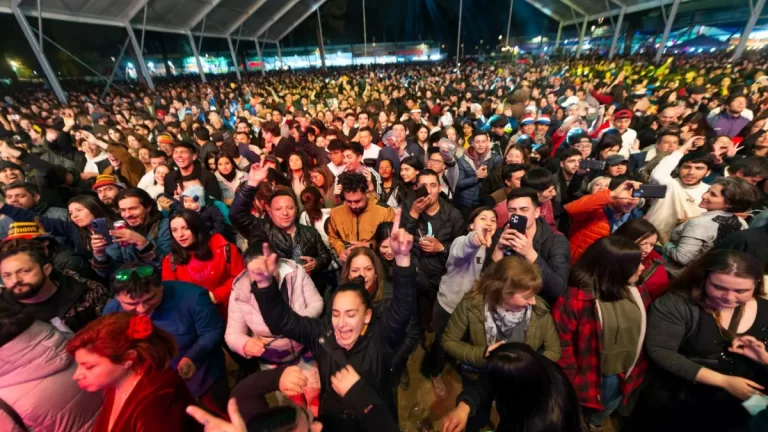 Fondas Parque O'higgins