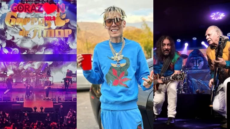 Fondas Parque Ohiggins Artistas