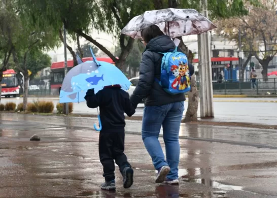 Sistema Frontal Suspensión De Clases